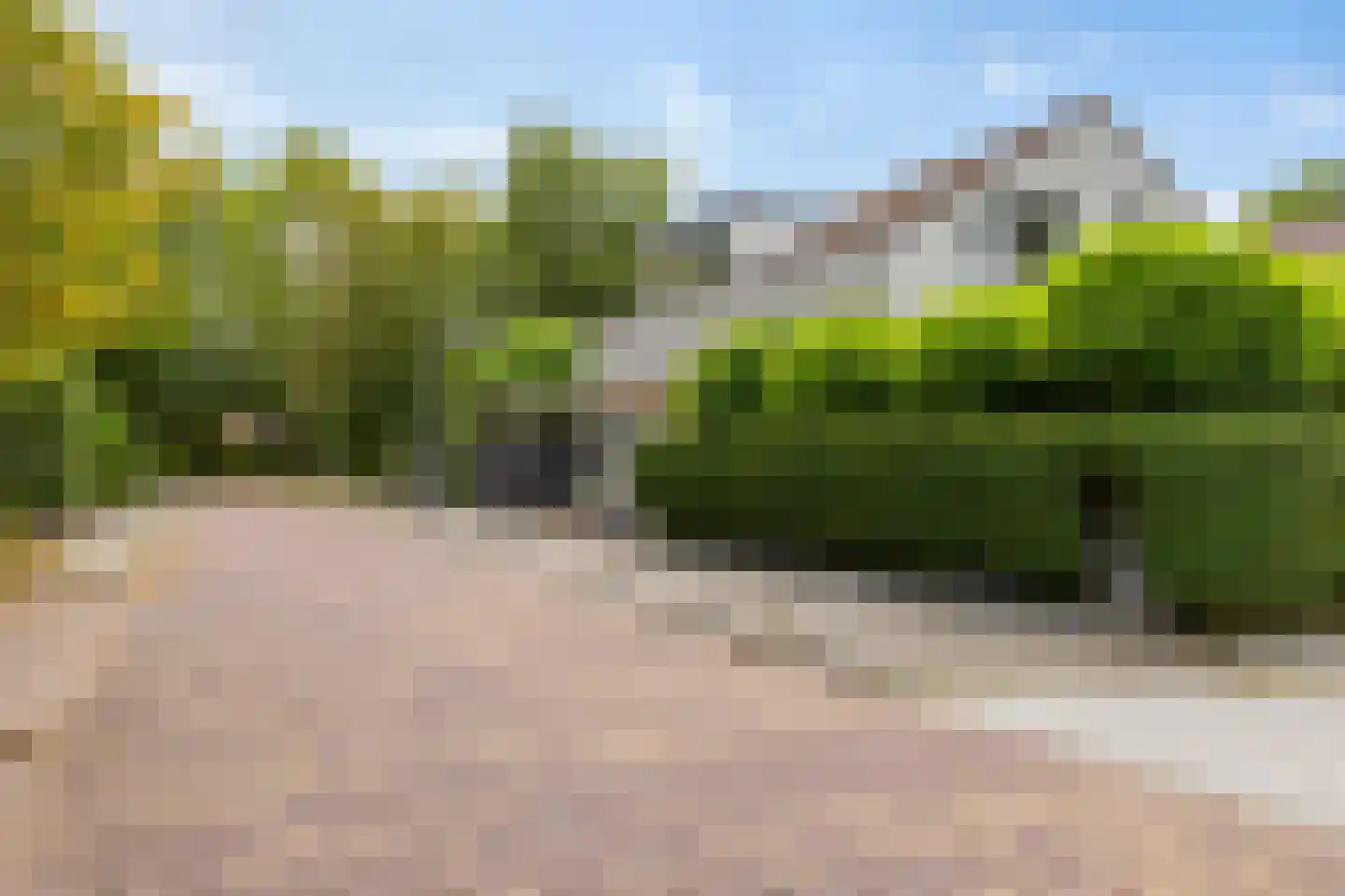 Speenkruidstraat 32 Groningen thumbnail 6