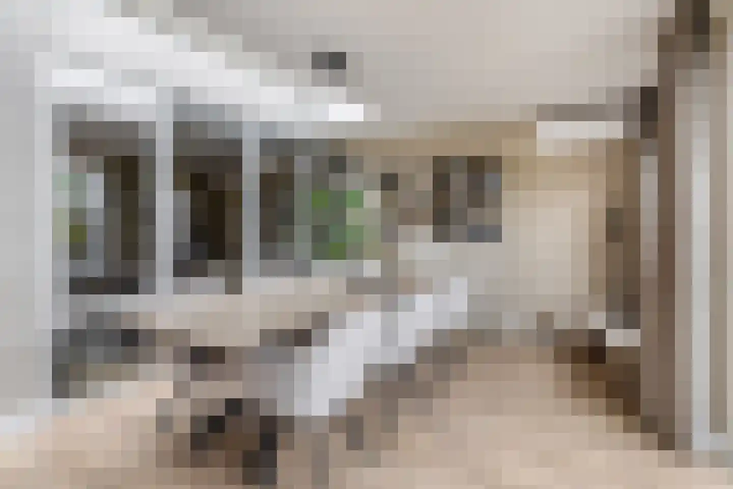 Speenkruidstraat 38 Reuver thumbnail 10