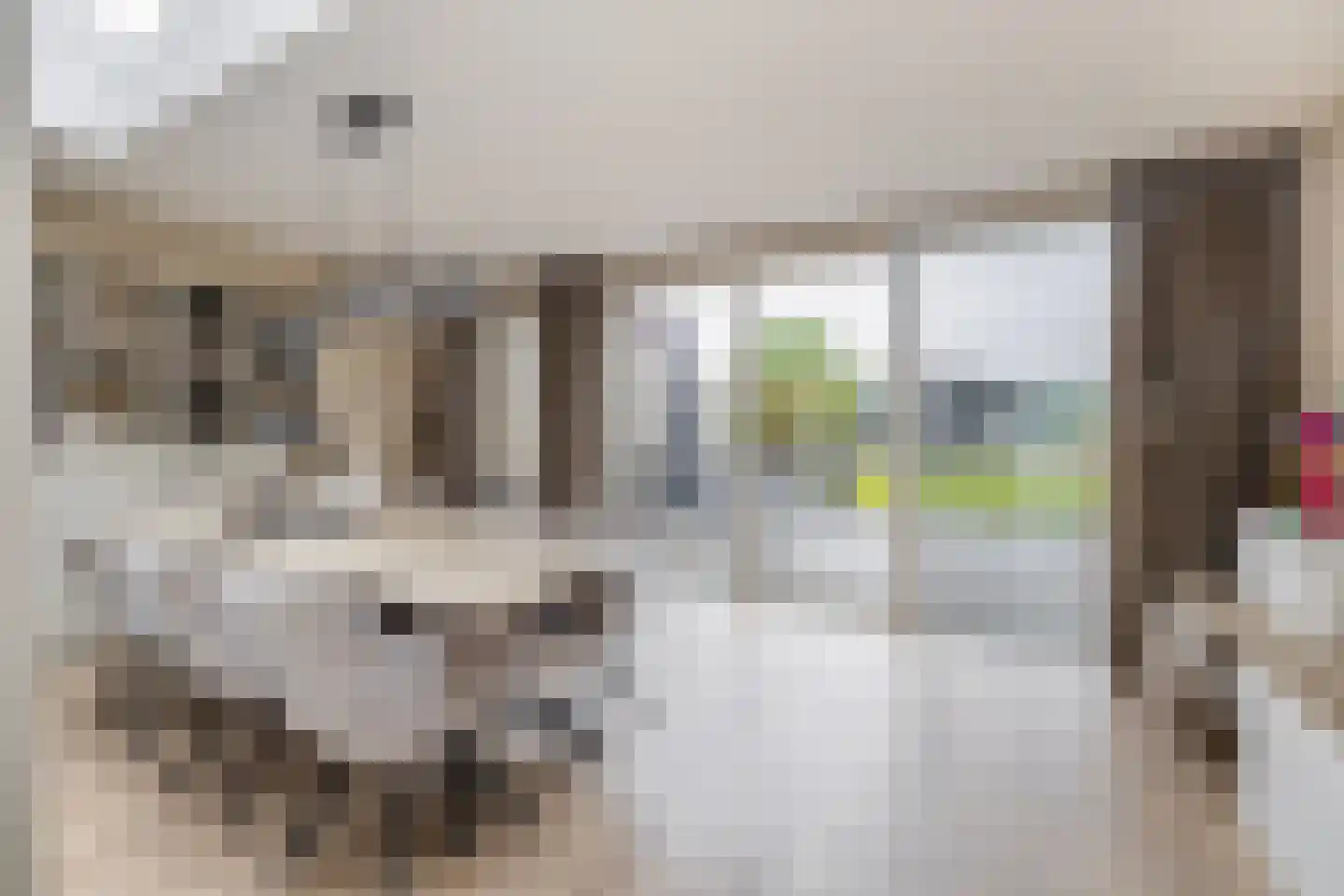 Speenkruidstraat 38 Reuver thumbnail 11