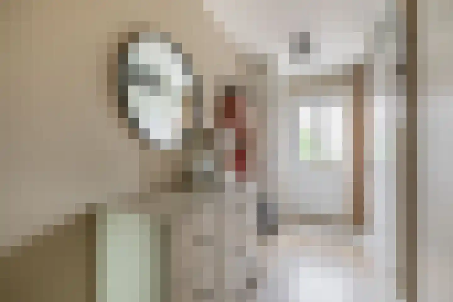 Speenkruidstraat 38 Reuver thumbnail 12
