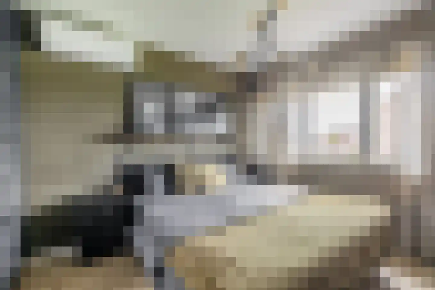Speenkruidstraat 38 Reuver thumbnail 15