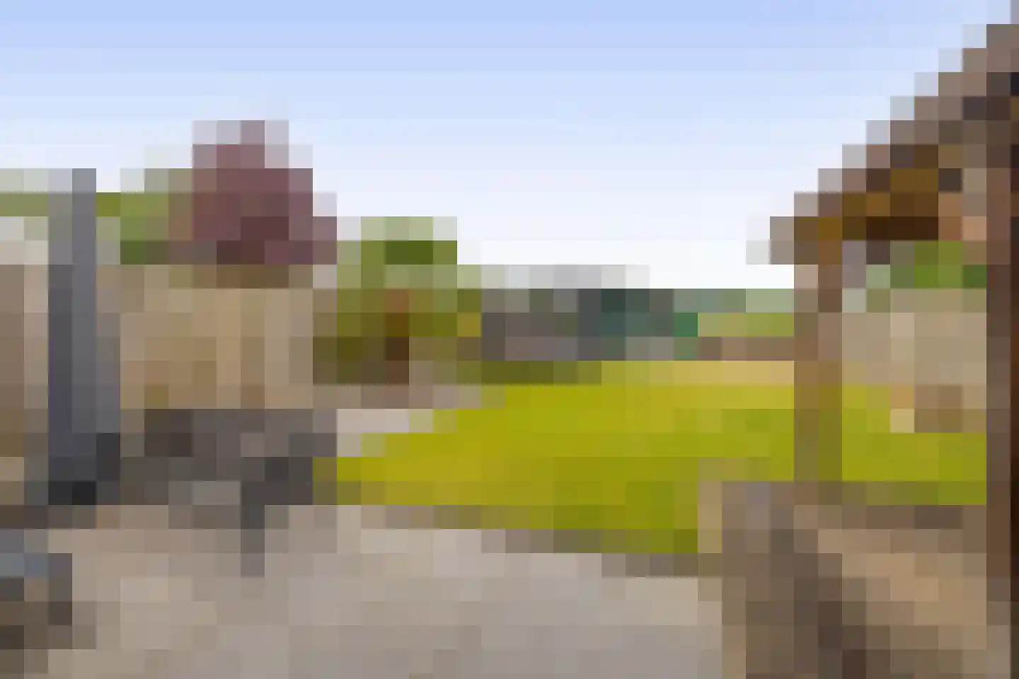 Speenkruidstraat 38 Reuver thumbnail 21