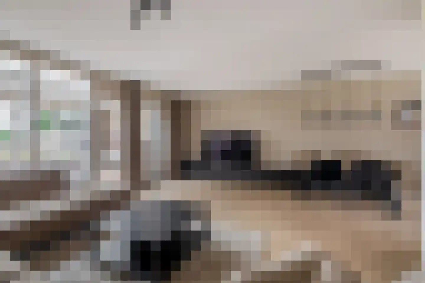 Speenkruidstraat 38 Reuver thumbnail 5
