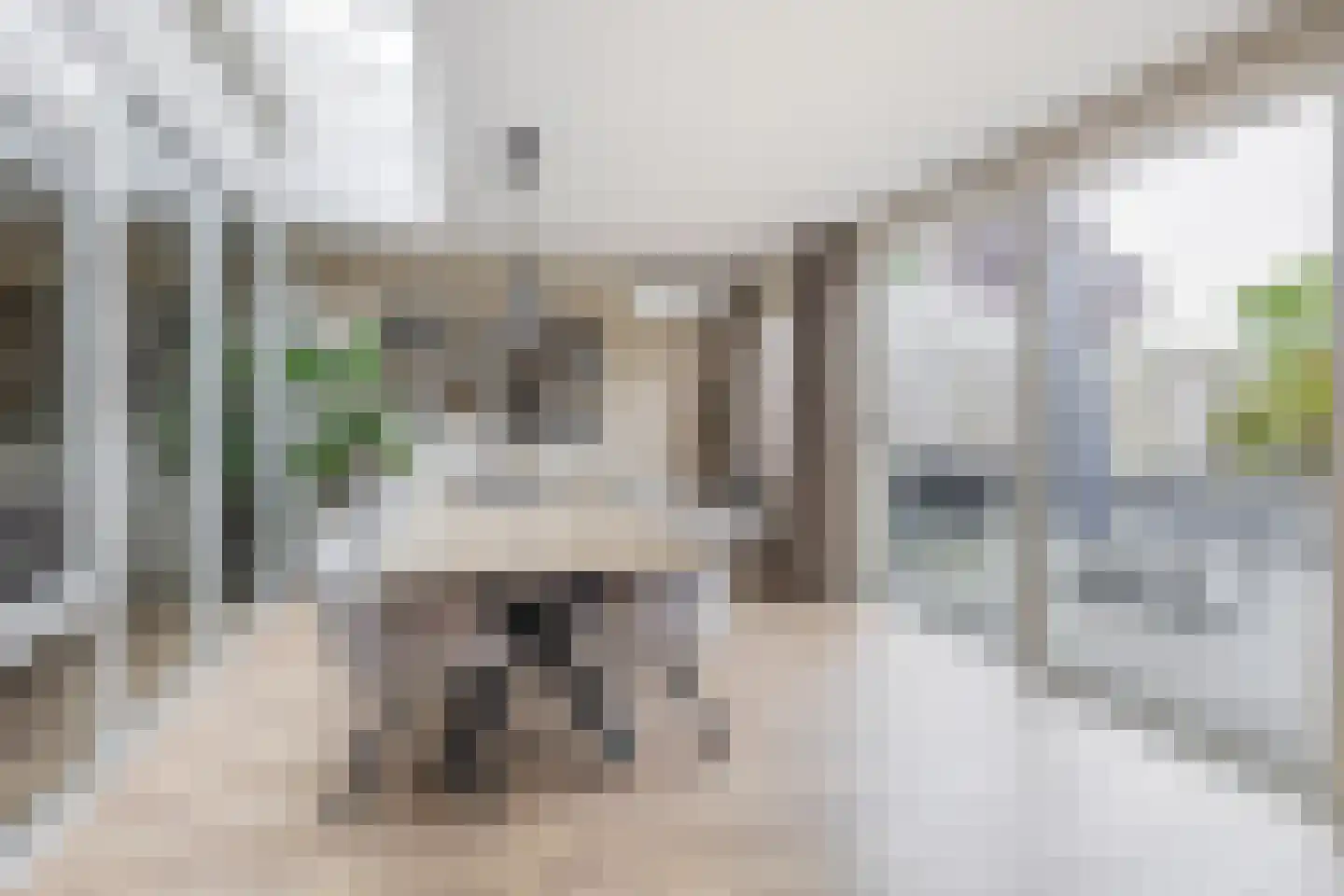 Speenkruidstraat 38 Reuver thumbnail 9