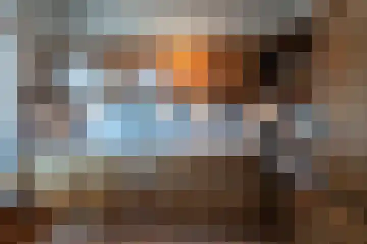 Speenkruidstraat 4 Groningen thumbnail 23