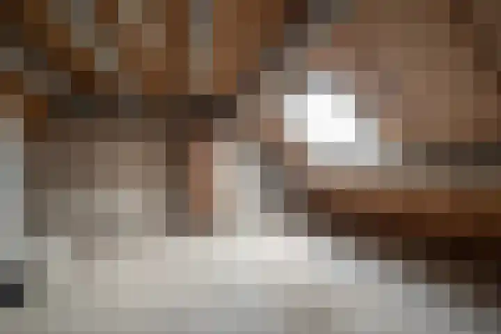 Speenkruidstraat 4 Groningen thumbnail 35