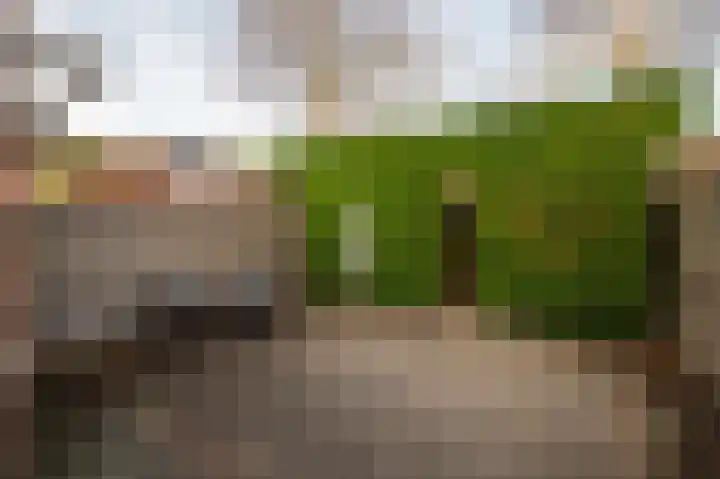 Speenkruidstraat 4 Groningen thumbnail 42