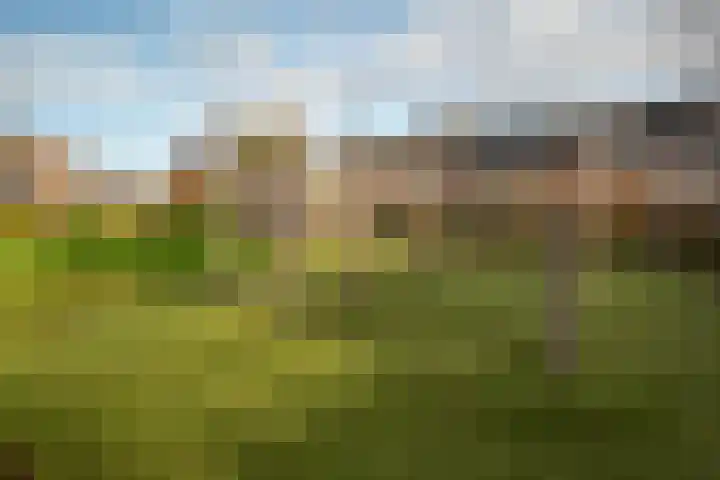 Speenkruidstraat 4 Groningen thumbnail 44