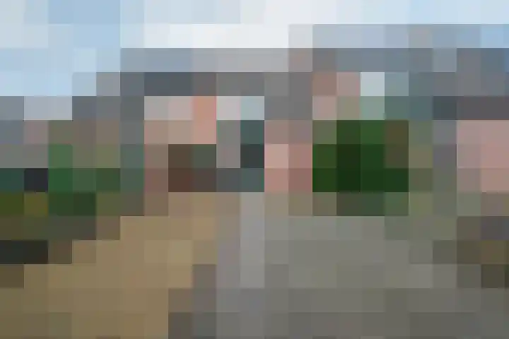 Speenkruidstraat 4 Groningen thumbnail 9
