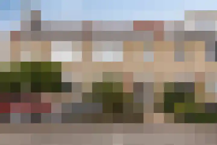 Speenkruidstraat 46 in Berkel en Rodenrijs