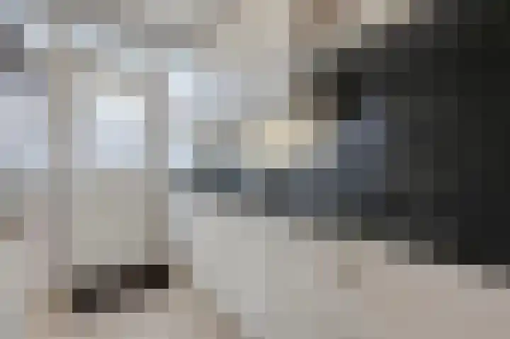 Speenkruidstraat 49 Rheden thumbnail 12