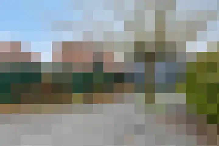 Speenkruidstraat 49 Rheden thumbnail 18
