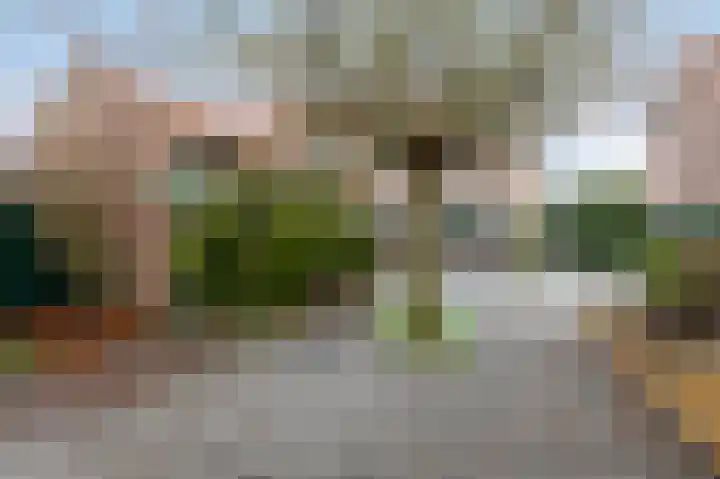 Speenkruidstraat 49 Rheden thumbnail 22