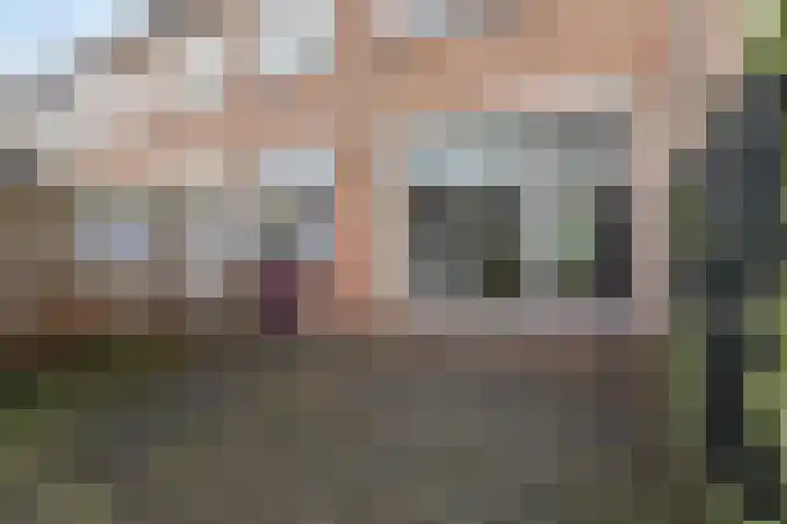 Speenkruidstraat 49 Rheden thumbnail 23