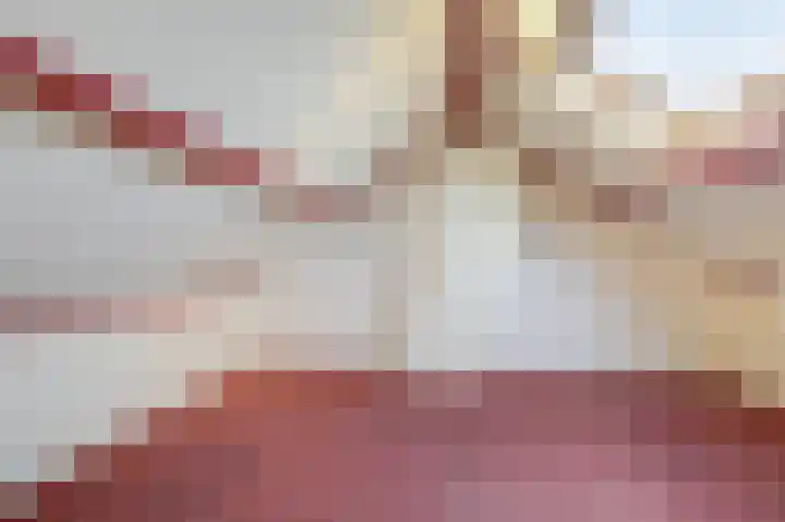 Speenkruidstraat 49 Rheden thumbnail 37