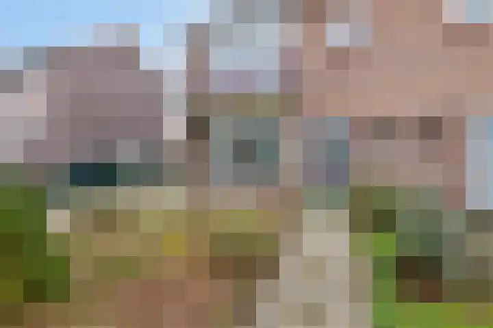 Speenkruidstraat 49 Rheden thumbnail 5