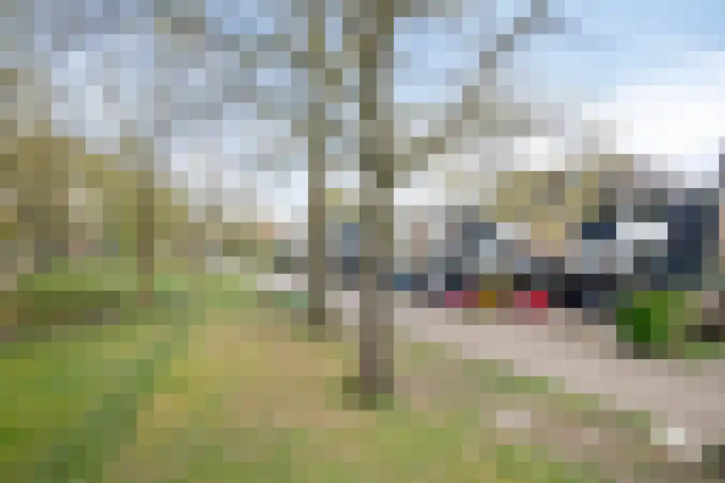 Speenkruidstraat 49 Soest thumbnail 48
