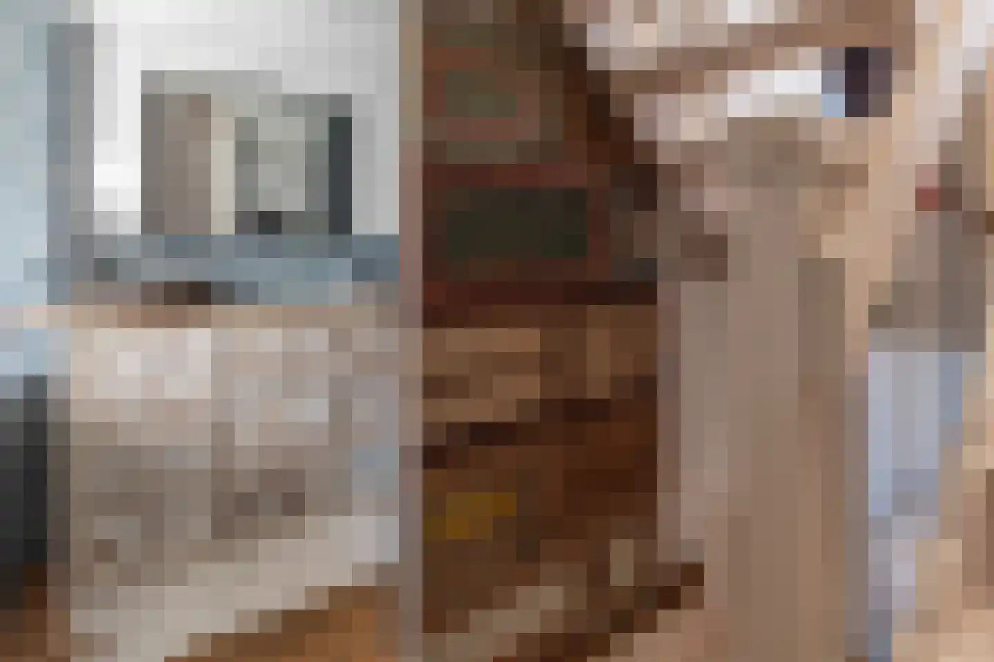 Speenkruidstraat 5 Alkmaar thumbnail 23