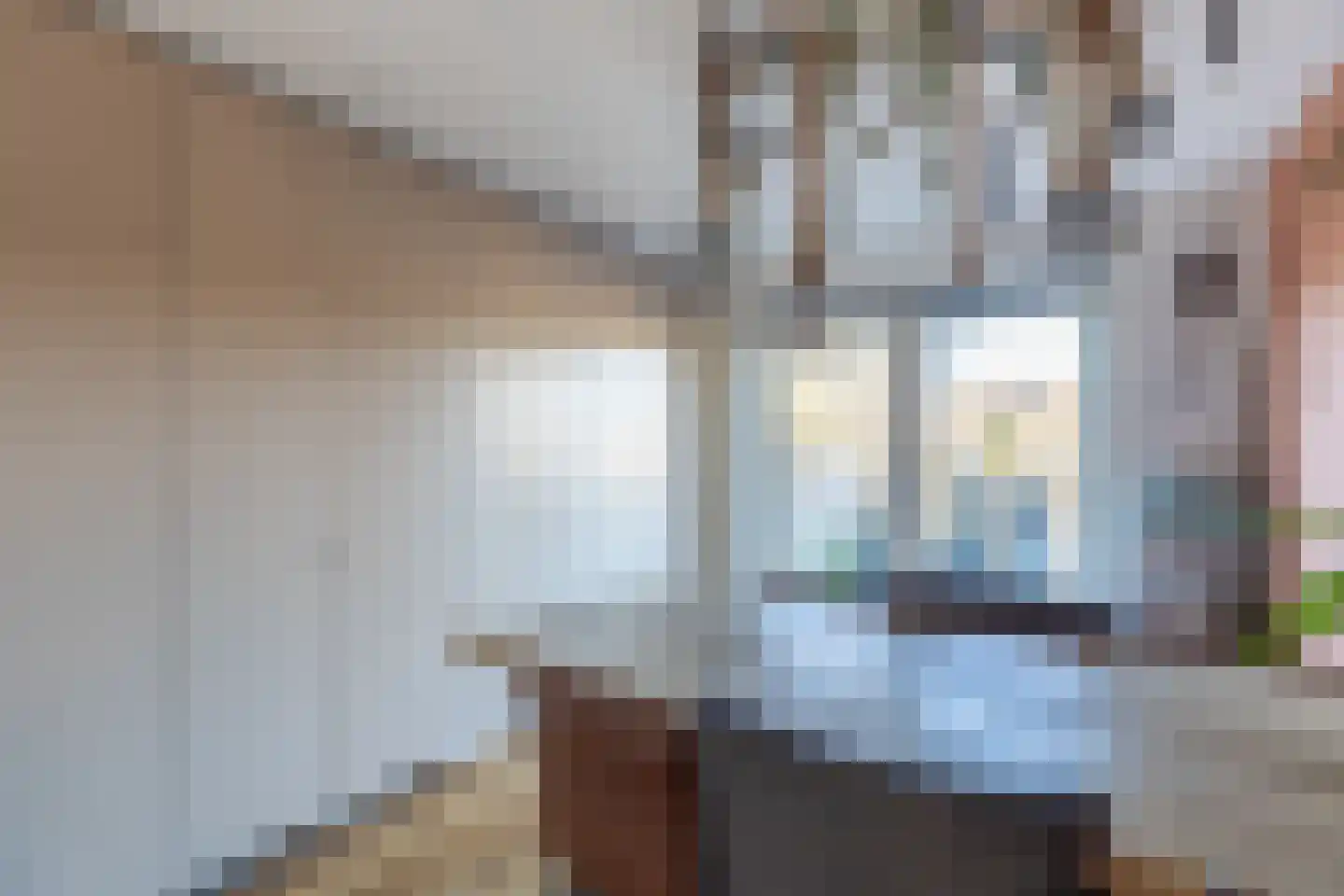 Speenkruidstraat 5 Alkmaar thumbnail 29