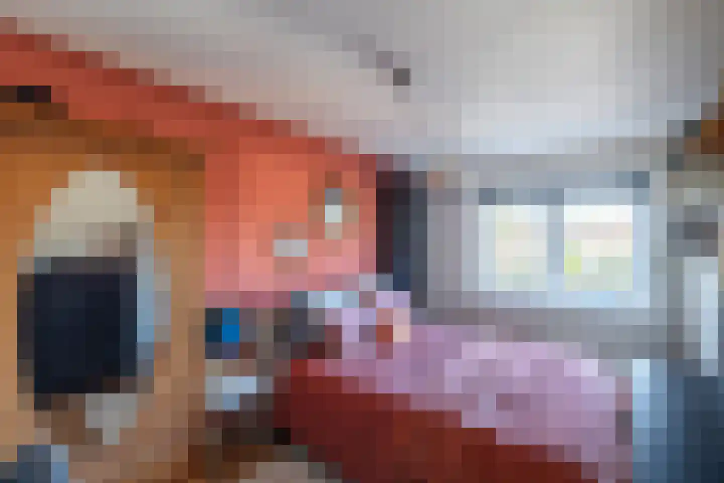 Speenkruidstraat 5 Alkmaar thumbnail 30