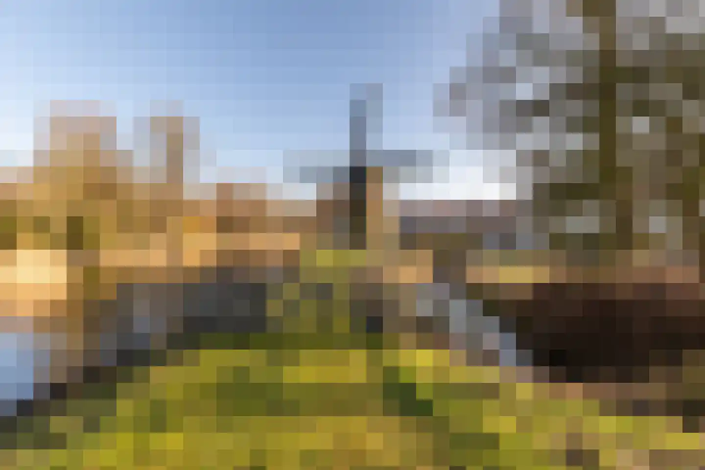 Speenkruidstraat 5 Alkmaar thumbnail 43