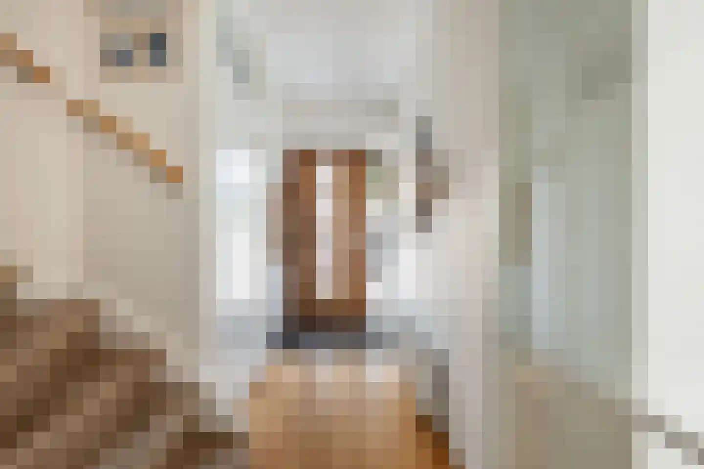 Speenkruidstraat 6 Krimpen aan de Lek thumbnail 14