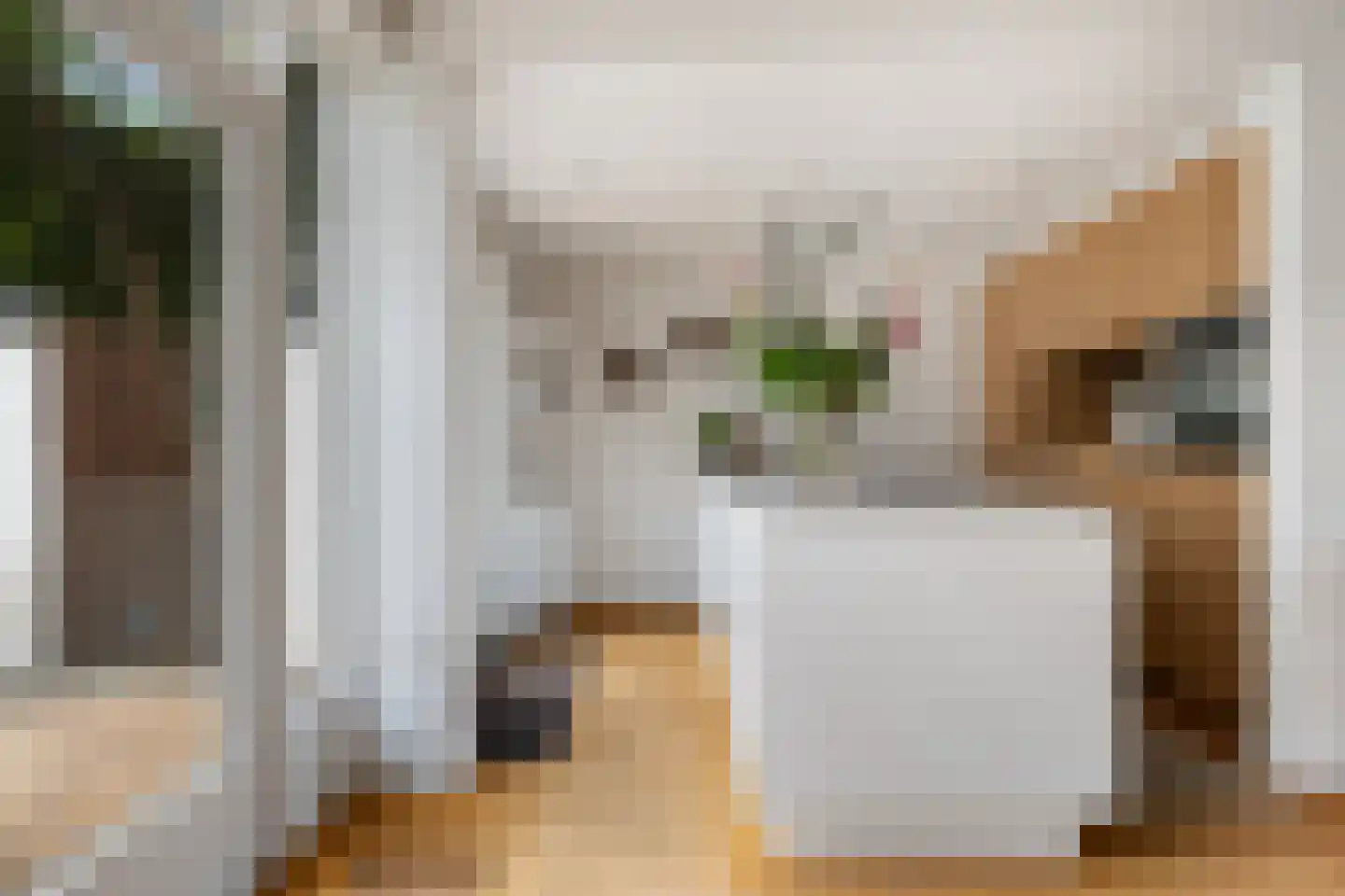 Speenkruidstraat 6 Krimpen aan de Lek foto 2