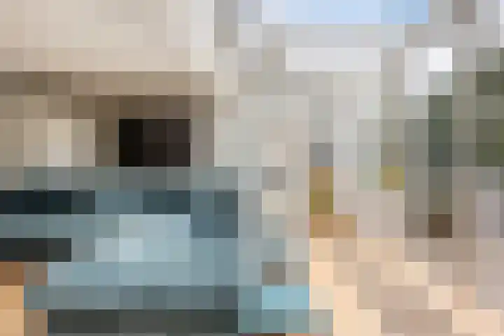 Speenkruidstraat 69 Groningen thumbnail 13