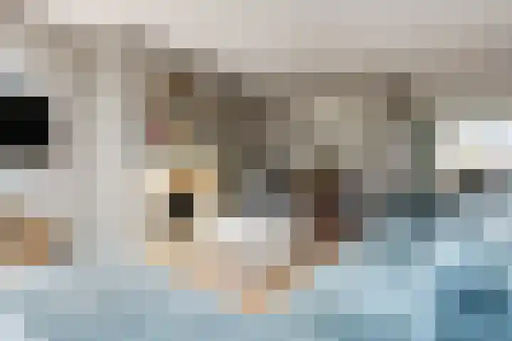 Speenkruidstraat 69 Groningen thumbnail 14
