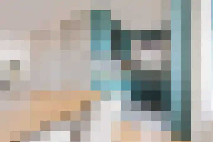 Speenkruidstraat 69 Groningen thumbnail 18