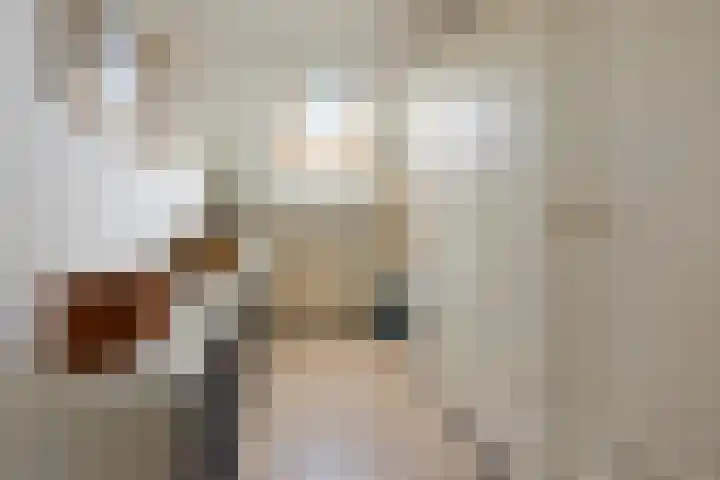 Speenkruidstraat 69 Groningen thumbnail 29