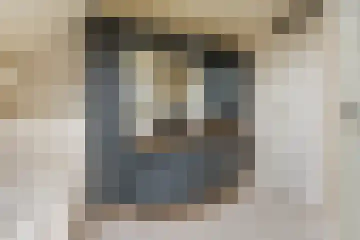 Speenkruidstraat 69 Groningen thumbnail 31