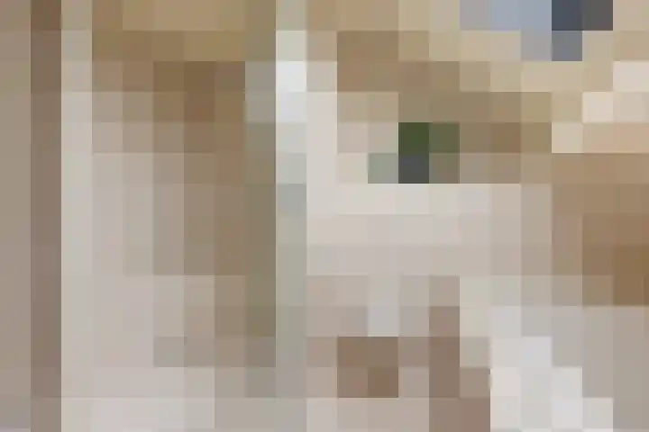 Speenkruidstraat 69 Groningen thumbnail 32
