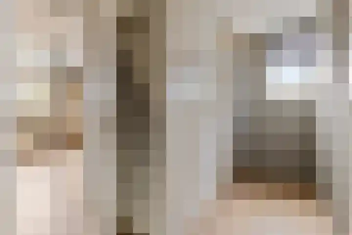 Speenkruidstraat 69 Groningen thumbnail 33