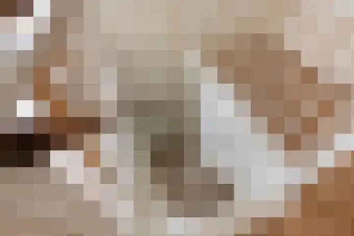 Speenkruidstraat 69 Groningen thumbnail 34