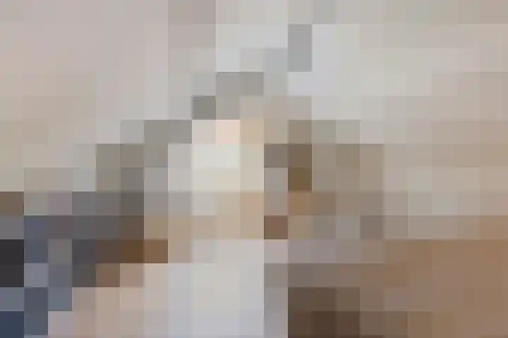 Speenkruidstraat 69 Groningen thumbnail 36