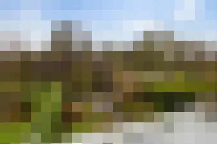 Speenkruidstraat 69 Groningen thumbnail 37