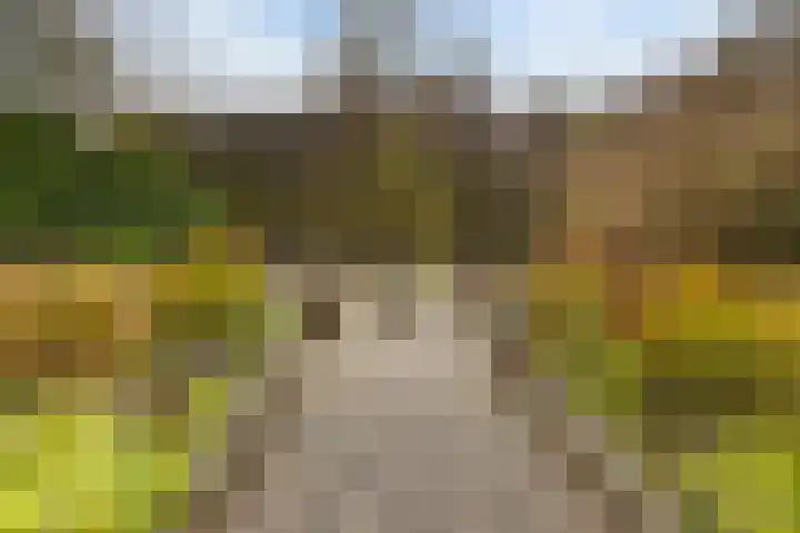 Speenkruidstraat 69 Groningen thumbnail 38
