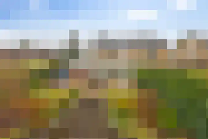 Speenkruidstraat 69 Groningen thumbnail 39