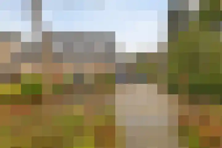 Speenkruidstraat 69 Groningen thumbnail 4