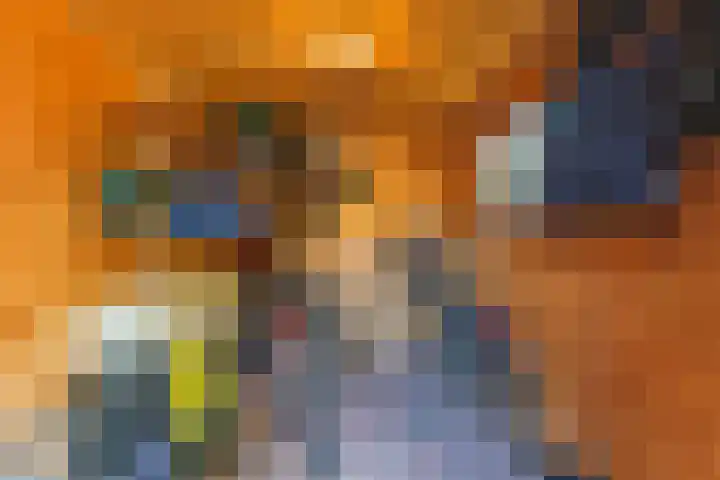 Speenkruidstraat 69 Groningen thumbnail 40