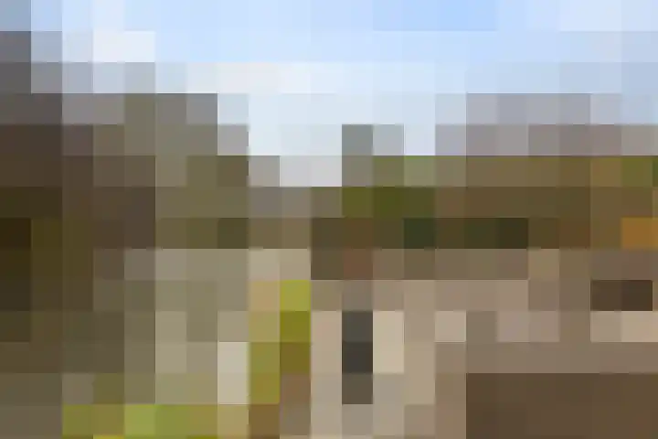 Speenkruidstraat 69 Groningen thumbnail 41