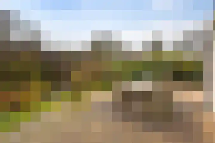 Speenkruidstraat 69 Groningen thumbnail 42