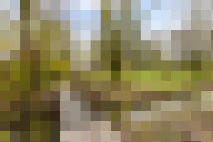 Speenkruidstraat 69 Groningen thumbnail 43