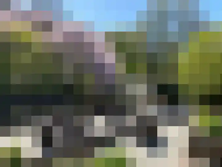 Speenkruidstraat 69 Groningen thumbnail 44
