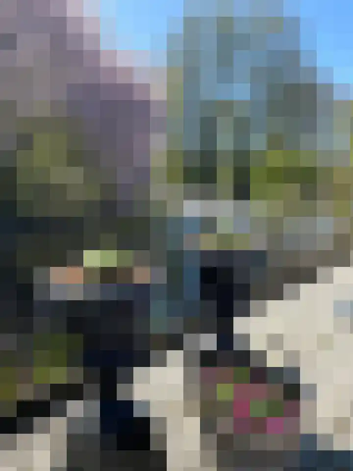 Speenkruidstraat 69 Groningen thumbnail 45
