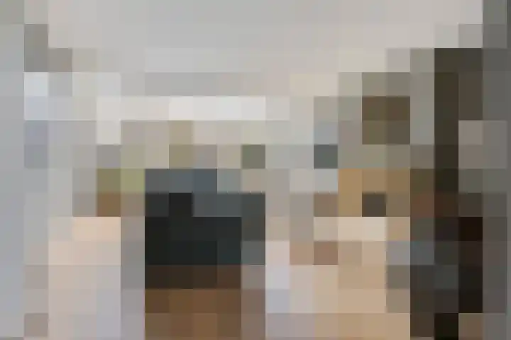 Speenkruidstraat 69 Groningen thumbnail 7