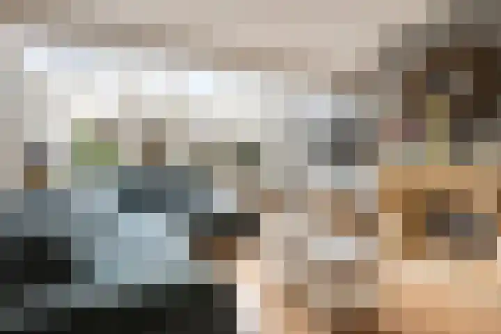 Speenkruidstraat 69 Groningen thumbnail 8