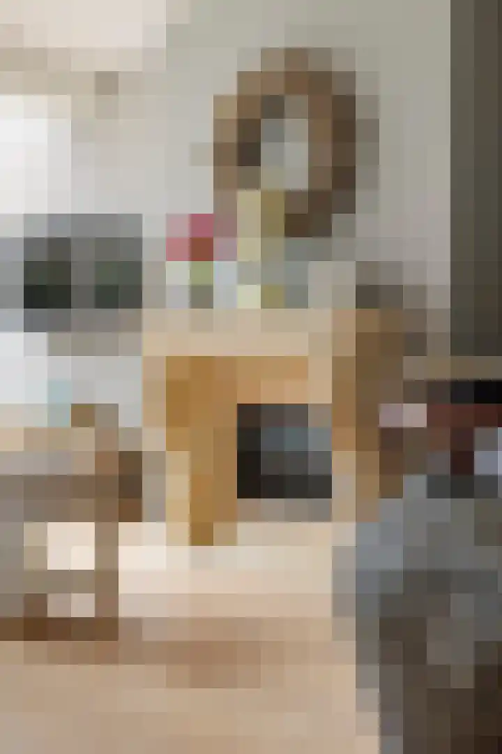 Speenkruidstraat 69 Groningen thumbnail 9
