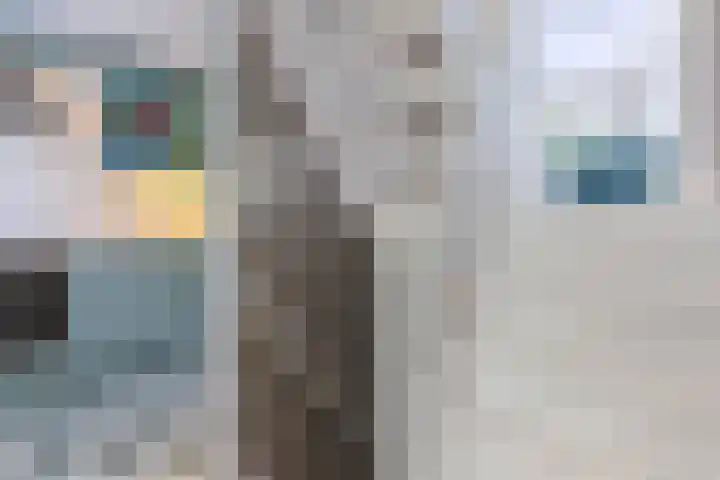 Speenkruidstraat 7 Alkmaar thumbnail 11
